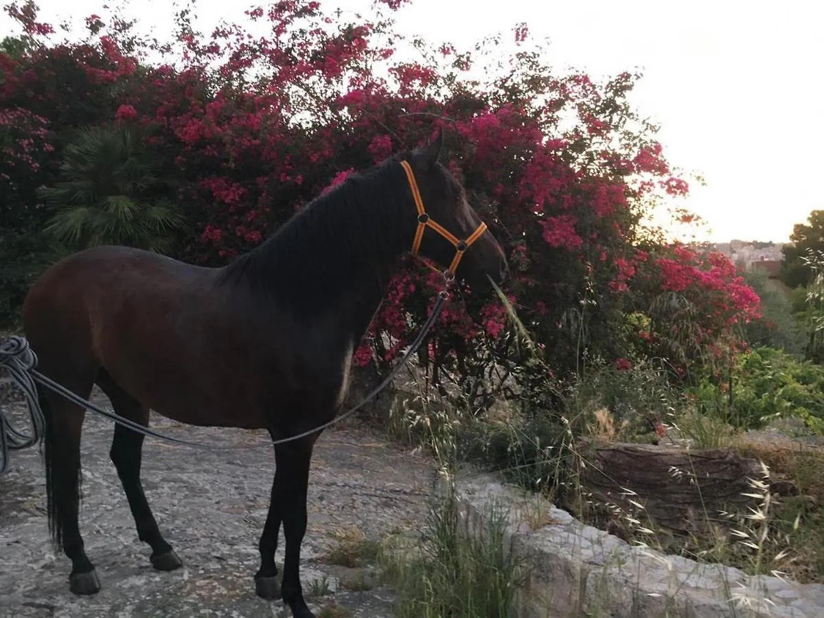 Country Sicily Home Favara