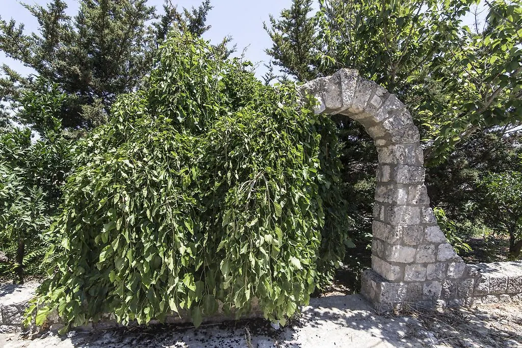 Country Sicily Home Favara